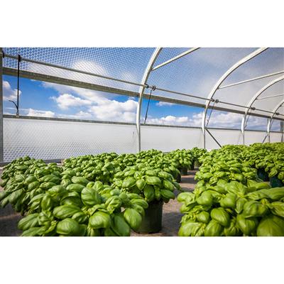 SolaWrap Greenhouse Covering Bulk Roll - Greenhouse Megastore