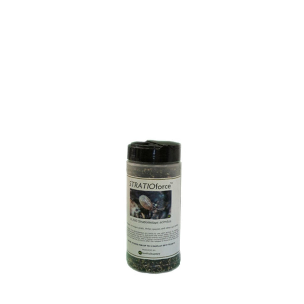 STRATIOforce™ for Gnat Control - Greenhouse Megastore