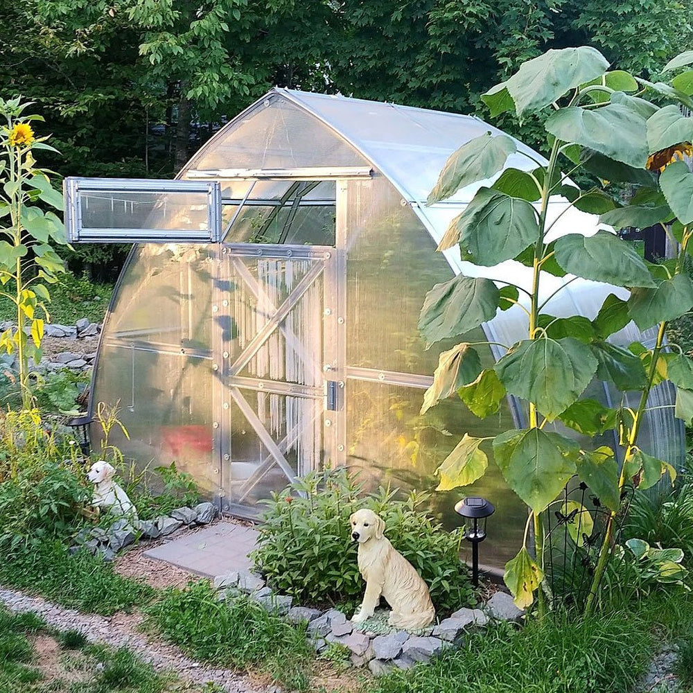 Sungrow Compact DIY Greenhouse Kit 10 x 6.5 ft. with 6 mm Twinwall Polycarbonate Panels and Galvanized Steel Frame - Greenhouse Megastore