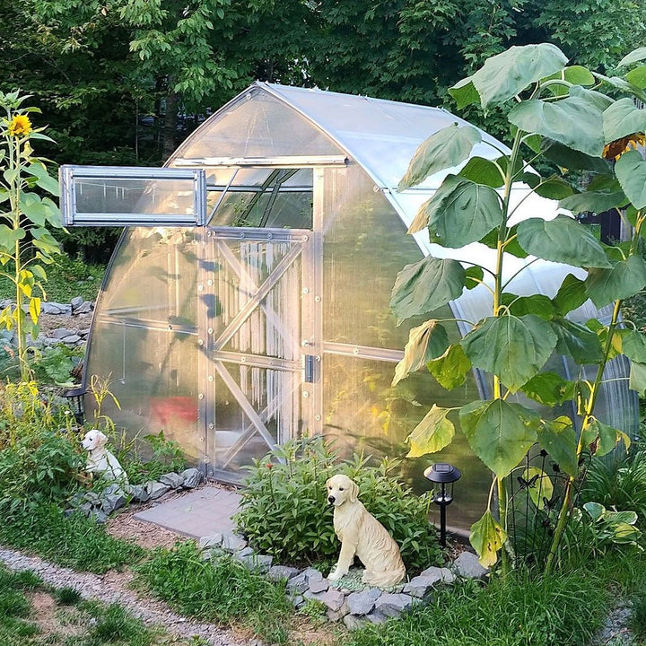 Sungrow Compact DIY Greenhouse Kit 10 x 6.5 ft. with 6 mm Twinwall Polycarbonate Panels and Galvanized Steel Frame - Greenhouse Megastore