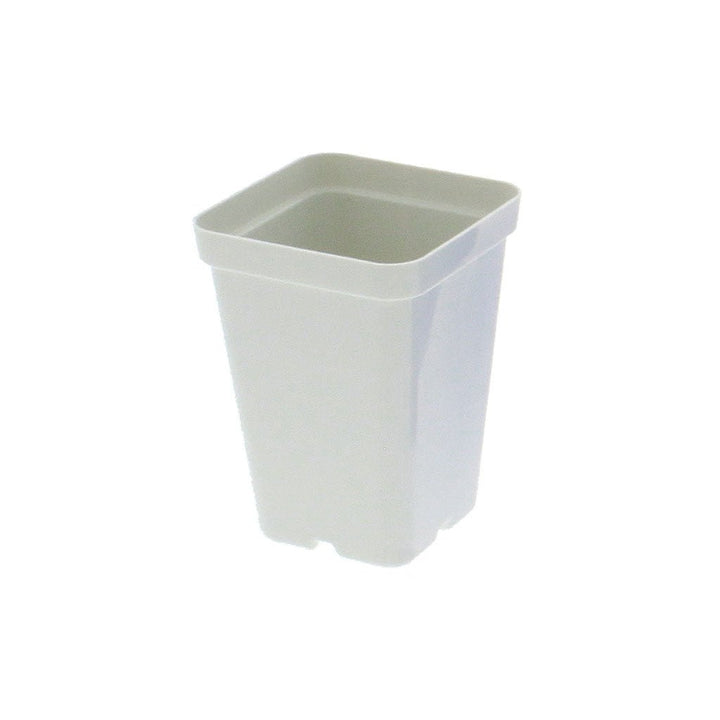 SUNPACK® Color Square Injection Molded Pot 2.5" - Greenhouse Megastore