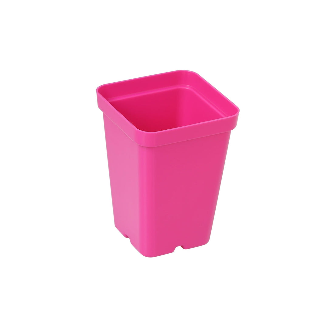 SUNPACK® Color Square Injection Molded Pot 2.5" - Greenhouse Megastore