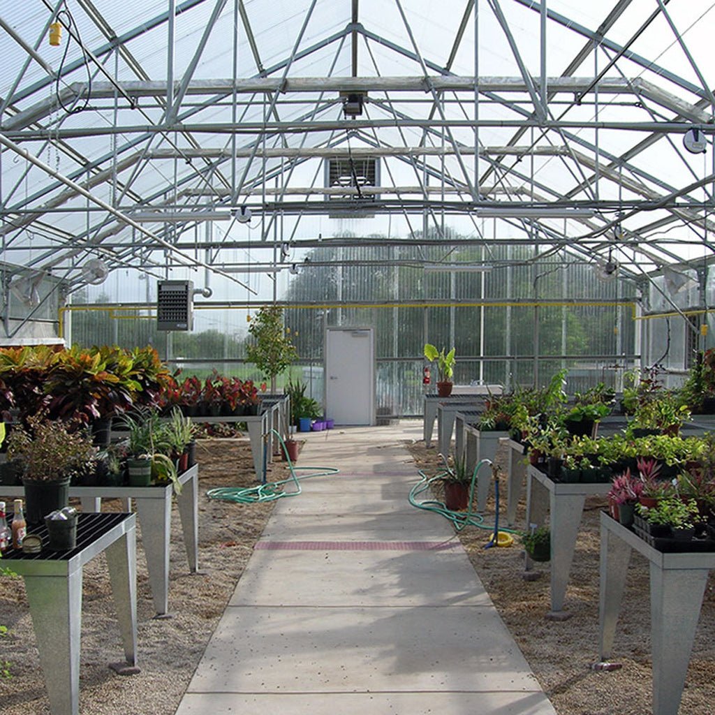 Texan Teaching Greenhouse Package - Greenhouse Megastore