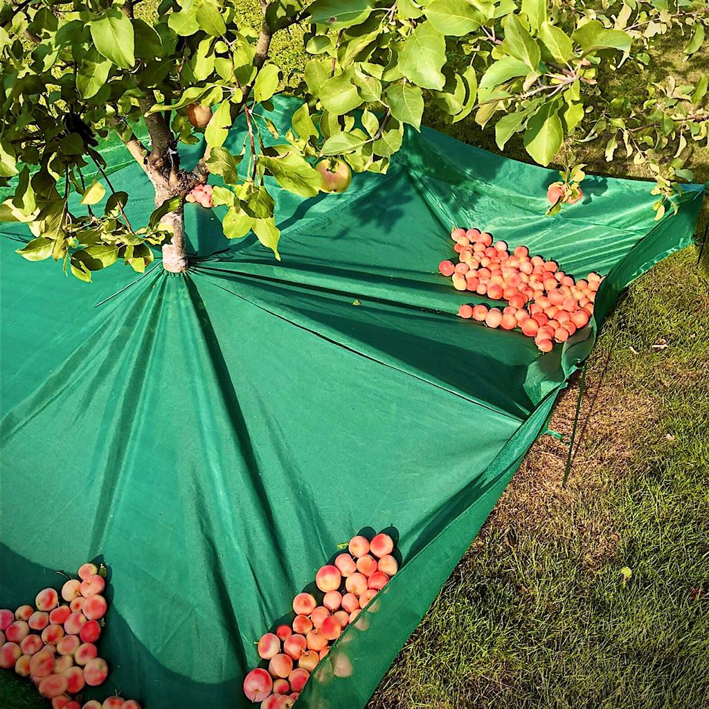 The Original Fruit Collector Tree Harvesting Net – Greenhouse