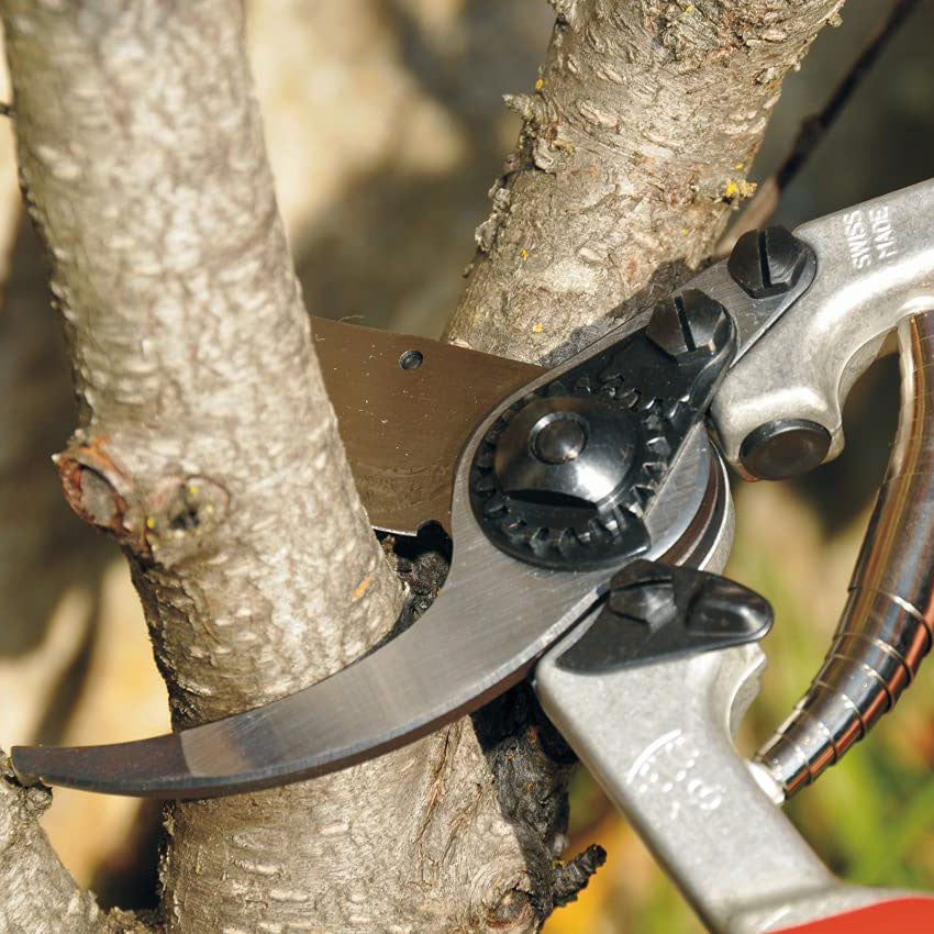 Felco F13 Pruning Shear - Thumbnail 2