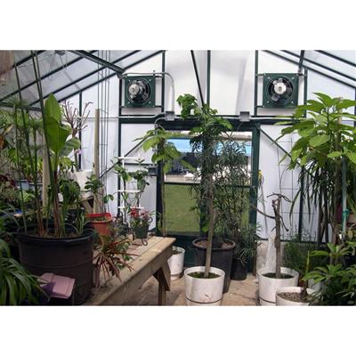 Traditional Straight Eave Greenhouse Kit with 6mm Twinwall Polycarbonate Panels and Aluminum Frame - Greenhouse Megastore