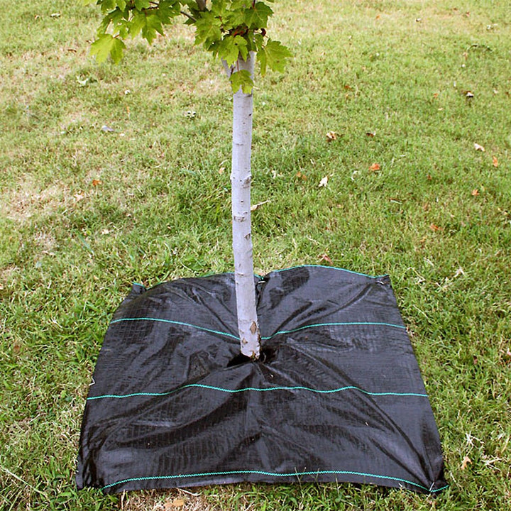 Tree Squares - Greenhouse Megastore