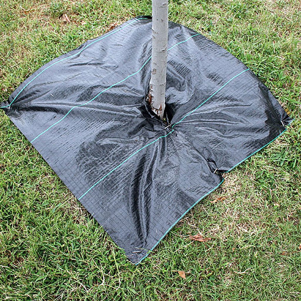 Tree Squares - Greenhouse Megastore
