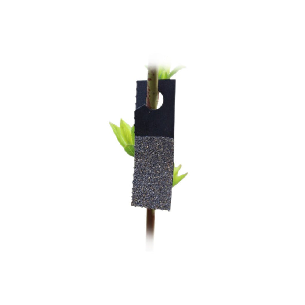 TRICHOforce™ for Caterpillar Control - Greenhouse Megastore