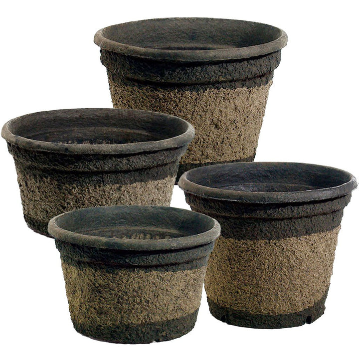 Western Pulp Large Containers - Greenhouse Megastore