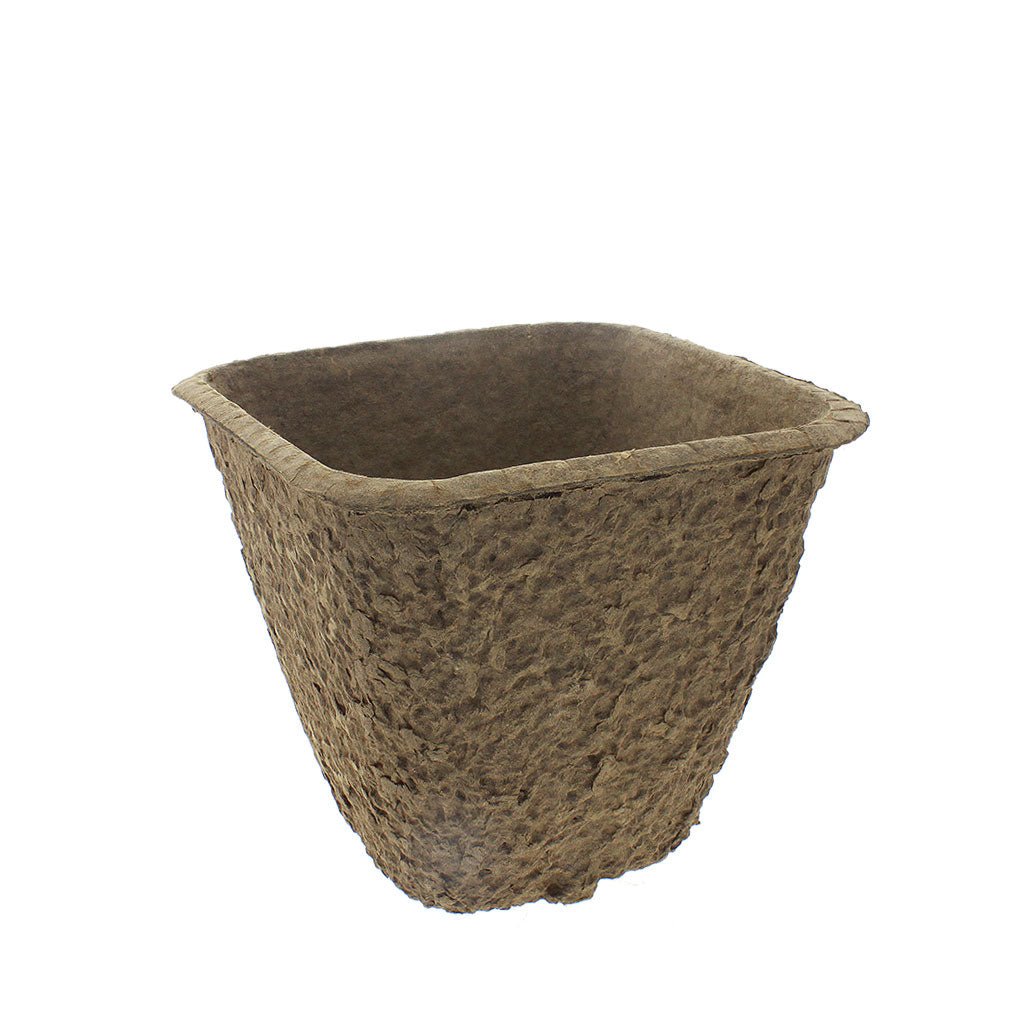 Western Pulp Square Pots - Greenhouse Megastore